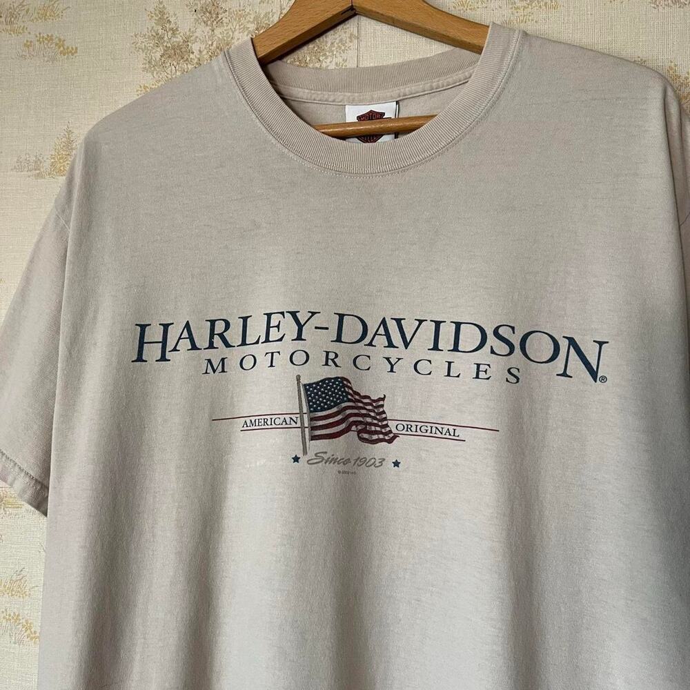 Vintage 00s Distressed Harley Davidson Tee | Rice Lake WI | L